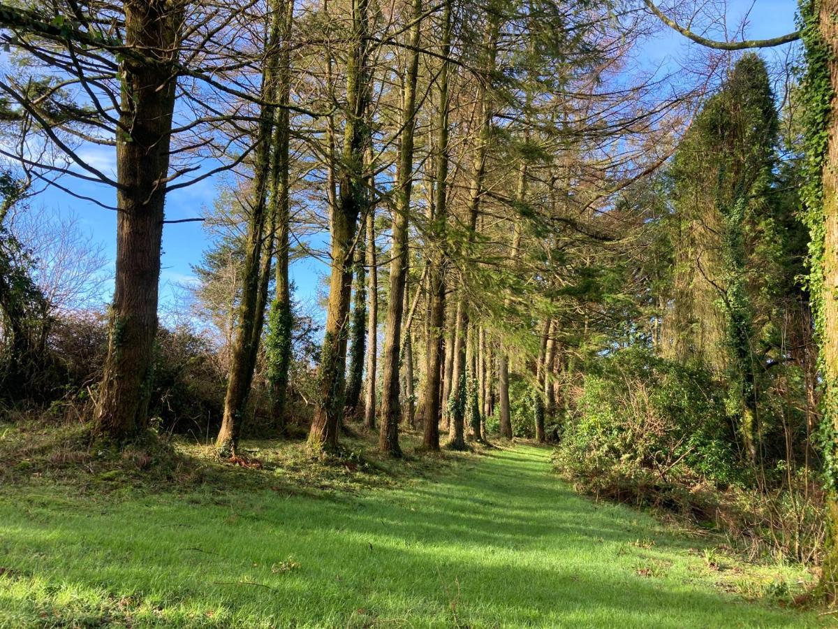 Hollyhocks Holiday Home- 2 Bedroomed Ground Floor Apartment Sleeps 5 Ivybridge Luaran gambar