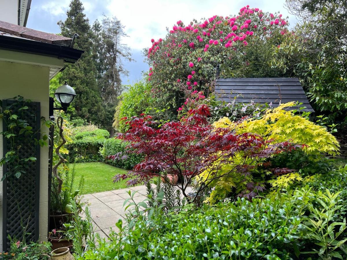 Hollyhocks Holiday Home- 2 Bedroomed Ground Floor Apartment Sleeps 5 Ivybridge Luaran gambar